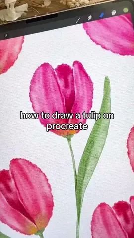 How to draw a tulip in watercolour on @Procreate in less than a minute!  Follow along with this simple tutorial 🌷🌷 The brushes used are part of the realistic watercolour brush set linked in my bio 🩷 . . . #procreateapp #procreateart #procreate #digitalart #digitalarttiktok #ipaddrawing #ipadproart #ipadproartist #ipadprodrawing #digitalwatercolor #procreatebrushes #procreatebrush #procreatetutorial #art #digitalpaintingtutorial #howtodraw #arttutorial #tulips #howtodrawflowers 