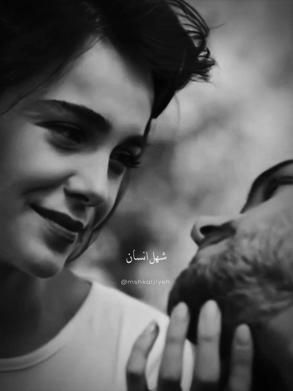 على فكرة اتجننت✨️🤍 . . . . . . . . #mshkaljiyeh #حب #تصميمي❤️ #ArabTikTok #ArabTikTok #اكسبلورexplore #explore #ثقة #fypシ゚ #virale #song #تصاميم_فيديوهات🎵🎤🎬 #edit #fyp #تصميمي #تصاميم_فيديوهات #اكسبلور #عشق #حضن #اغاني_عراقيه 