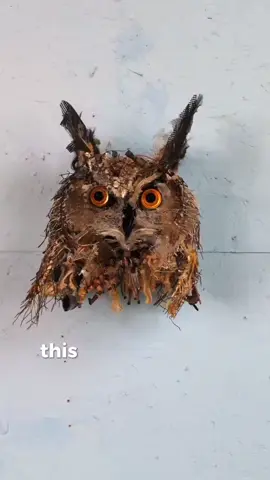 Meet artist Thomas Deininger who creates these surreal, illusionist sculptures from consumer waste. His work is a commentary on overconsumption, perception, and the beauty of the natural world and other objects. @tdeininger #artist #abstractart #contemporaryart #sculpture #weirdart #artwork #art #artist #painting #drawing #artistsoninstagram #illustration#artist #linocut #printmaking #linoprint #printmakersofinstagram 