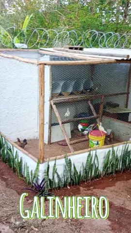galinheiro gastando pouco 