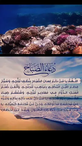 #دعاء_الصباح #دعاء #دعاء_يريح_القلوب #علي_الكعبي #ادعيه_اذكار_تسبيح_دعاء_استغفار #كروبات_سياحية #تجمع_مشاهير_تيك_توك #مصر_السعوديه_العراق_فلسطين #مصر #تركيا #باكستان #ايران #الشيعة_اسياد_العالم #العماره #النجف #الناصريه #كربلاء #اكسبلور #fyp #foryou #tiktokviral #news #tiktoknews #duet #keşfet 