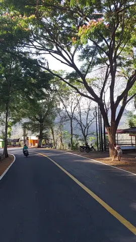 Perbatasan Ponorogo Trenggalek #trenggalek #ponorogo #perbatasanponorogotrenggalek #bendungantugu #videoperjalanan 