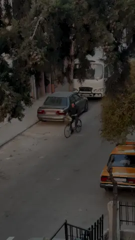 ما ضر قلبك لو رحمت فؤادي ؟