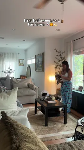 My pup's only job is to make Halloween a little more magical! 🧙‍♀️🐾👻💕🎃 #tiktokphilippines #filipinotiktok #tagalog #puppytiktok #tiktokph #furmom 