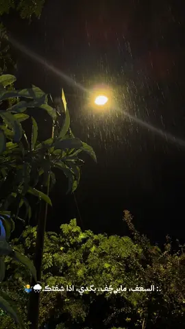 #حبيبي_عافني_لوحدي #حسام_الرسام #نصرت_البدر #كردستان #السليمانيه #اكسبلورexplore #تصويري #محافظات_العراق #جميع_الدول_العربيه #العراق🇮🇶 