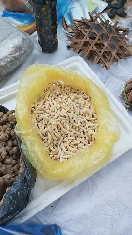 Sùng thảo sấy khô