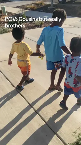 Watching cousins grow up like brothers is wild 😍 Comment if your a boy mom 🥹 Time has gone by so fast—we just love to see their bond grow each day 🥰 #family #boymom #motherhood @Digital Treasures 