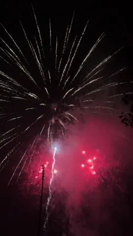 forgot how much i loved fireworks 🎇✨ . . . #fireworks #fyp #bonfire #novemer #autumn #fall #aesthetics 