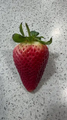 #thumb #thumbontour #thumbsup #strawberry #ohlook #ohlookastrawberry #tranding 