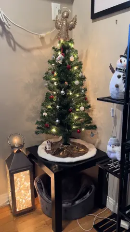 Yes k have decorated for Christmas  #christmas #christmastree #fyp