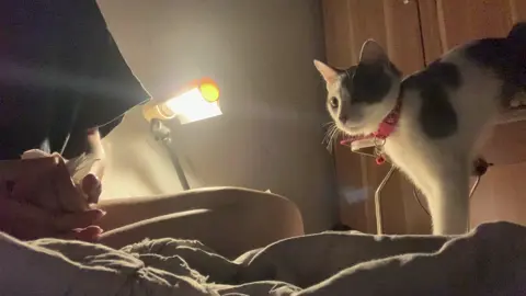 chiện bùn chiện khóc lóc tui khum có mún đăng lên mạng, nhưng mà trong lúc tui khóc ẻm làm vậy mí tui, nên tui mún lan toả sự cute này🥺 #mèo #cat #fyp 