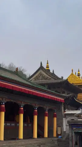 #愿所求皆所愿🙏🏻 