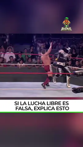 Si la lucha libre es falsa, ¿Cómo explicas esto? 😳 #fyp #viral #parati #luchalibre #wrestling #meme #LAPark 