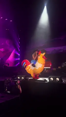 @Lainey Wilson I think this deserves a permanent spot on the set list #laineywilson #countingchickens #duckhunting #fyp 