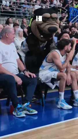 MASAJES PARA GREGO Divertido momento donde la mascota de #GeneracionDorada hizo relajar un poco a Grego Rosello
