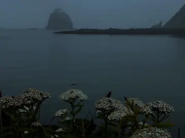 The dark feels different in November