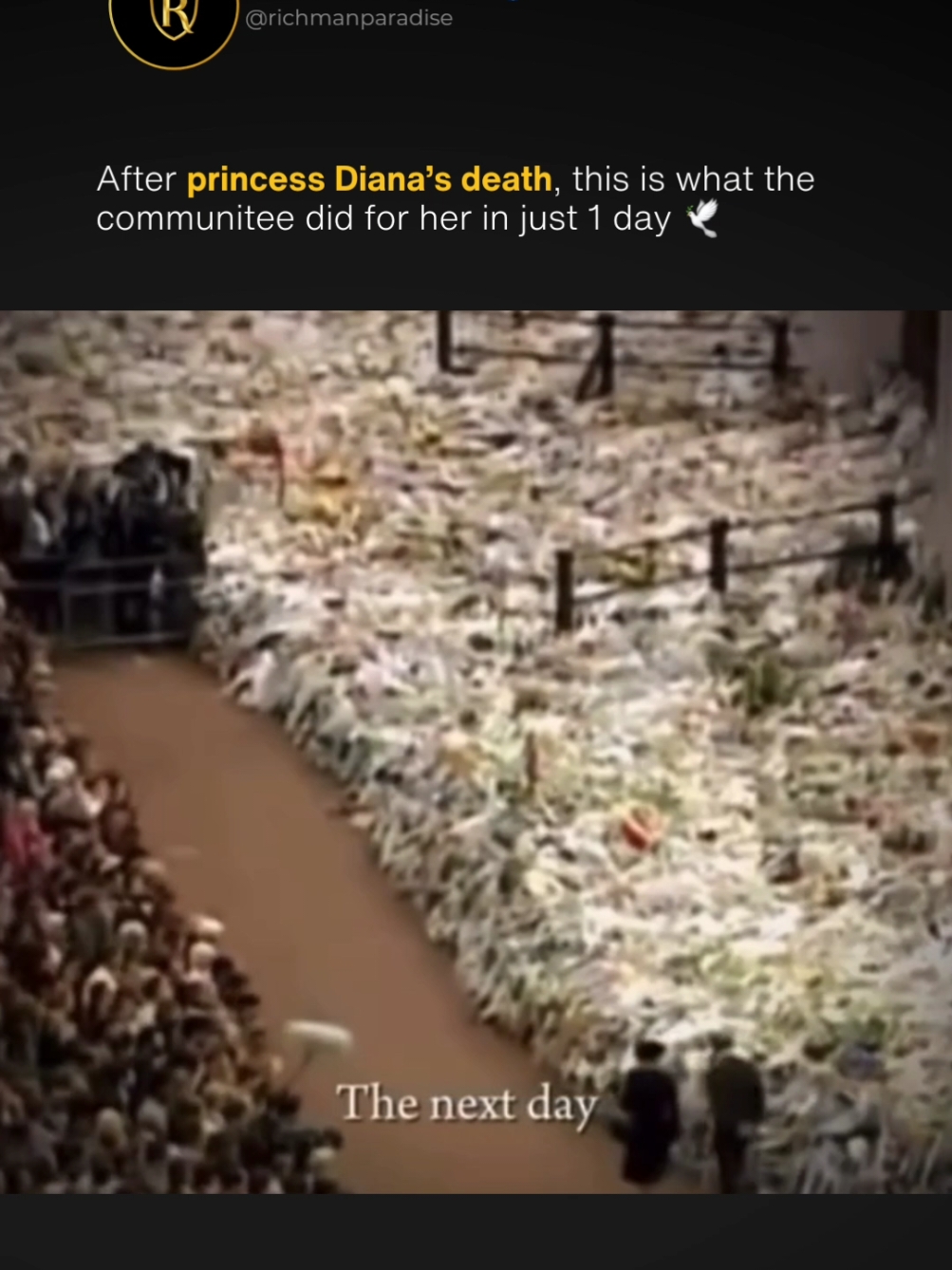 👇 This is how many flowers Priness Diana got after 1 day 😯 After the tragic death of Princess Diana in 1997, an astounding one million flowers were laid down by her people within just one day. 🌹💔 Princess Diana was known as a remarkable princess and one of the kindest souls in the world. Her compassion knew no bounds, and she wasn’t afraid to break royal protocols to connect with everyday people. ❤️👑 This is why she was so deeply loved and respected by all. #mindset #royal #Princess #wealth #money #luxury #successquotes #greatness #billionaire #tradition #princessdiana 