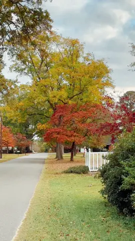 North Carolina 🧡🍂🍁