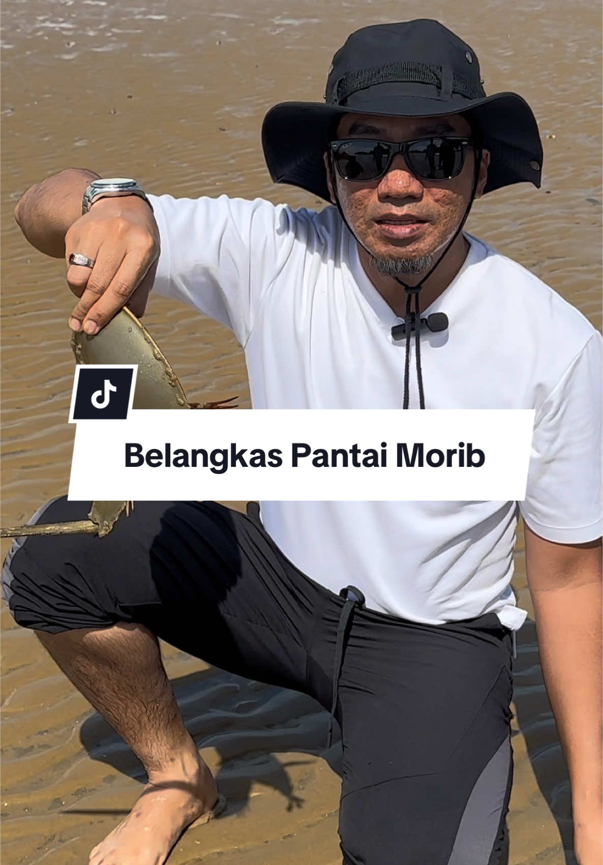 3.11.24 Tak sangka terserempak dgn belangkas 🤣 seumur hidup tak pernah tgk live dan pegang. Alhamdulillah rezeki harini 🥰🥰🥰