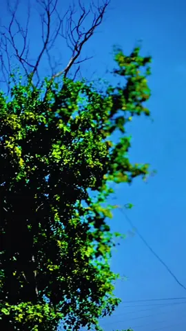 Teeta na wayo moz chata😡#viralvideo #สปีดสโลว์ #CapCut #viralvideo #roblox #สปีดสโลว์ #viralvideo #plzviral🥺🥺🙏🙏foryoupage #❤❤ #pl #สโลว์สมูท #like #ppluffy 