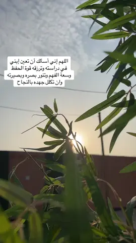 #اختبارات_نهائي #اكسبلور #اكسبلورر 