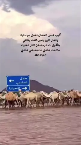 #ياكيف_تنشد_عن_احوالي #محمد_عبده #قصيد_ذوق #نجران #foryou #جده #ابها #النماص_الجنوب_عسير_تنومة_بني_شهر #الشمال_الجوف #عرعر #حايل