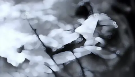 thành quả của một buổi sáng ^_^ #tamtrang  #xh 