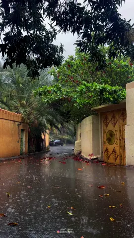 #سلطنة_عمان🇴🇲 #امطار #طبيعه_جميله_سبحان_الله_طبيعه_خلابه 