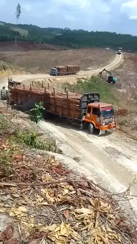 #memang gak ada zat mobil nya 😏🤣 #trucklogingriau  #ptbrl🇮🇩 