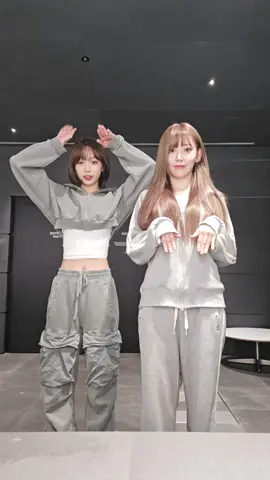 🐯🦘🐱🦘 #LE_SSERAFIM #르세라핌 #KIMCHAEWON #김채원 #SAKURA #사쿠라