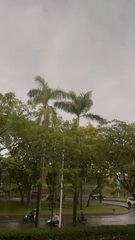 Hujan Turun , Vibes Natal mulai kerasa ya, untuk kt anak2 Rantau🥹🌨️🎄  Apakah natal kali in plg teman2😇  #natal2024 #vibesnatal2024 #xybca #rindukampung😭 #anakrantau #sulawesi #nataldirantau😔 #omkindonesia😇✝️fypkatolik #katolikindonesia 