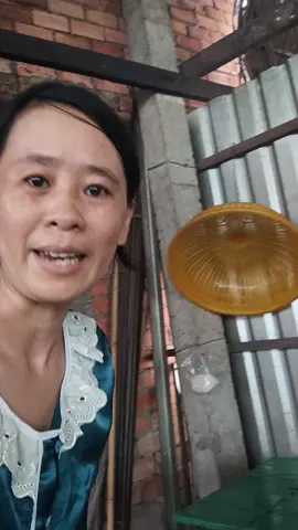 cái ghế  cái bàn.cái tủ