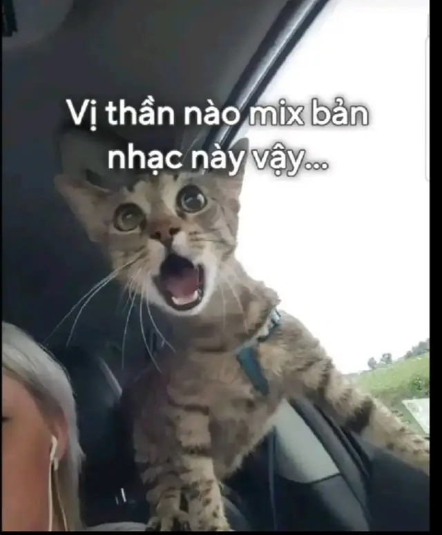 Như chưa từng có những phút lìa xa  Giấu gương mặt trên vai anh khóc òa Những con đường anh đi rồi cũng đưa anh  Về bên em#kathanhmusic #xh #viral #nhacco #xhtiktok 