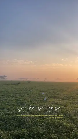 صباح الهدوء والراحه النفسيه 🇪🇬🤍🍃🥺 #الريف_المصري_مع_نصر #الريف_مع_نصر 