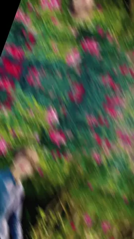 CHgEe mEe ASMan☠️💪🏻😔