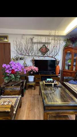 Năm ngoái xịn xò thật , không biết tết năm nay như nào đây #xhtiktok #tettettetdenroi #khoanhkhaccuocsong #hoatet #Tuanlv
