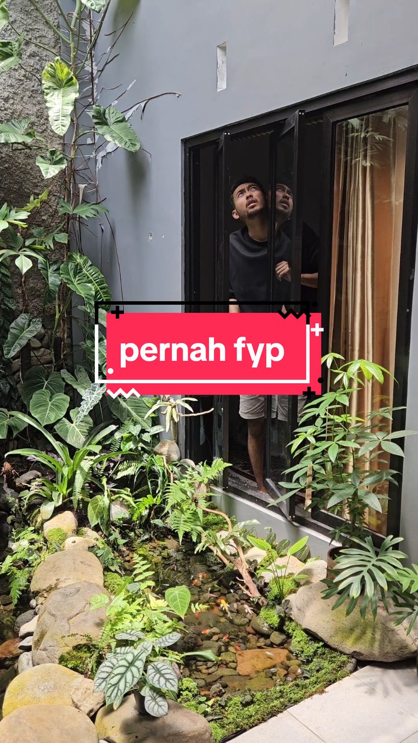 minggu pagi yang cerah memberi makan ikan ikan ku #kolamminimalis #dlyplant #naturalpond #kolamnatural #houseplants 
