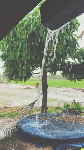 #บรรยากาศชิวๆ #ทุ่งนา #ขุขันธ์ศรีสะเกษ #ฝนตก 