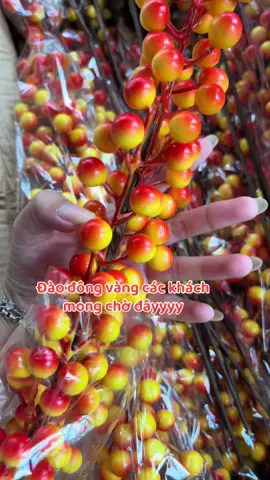 Đào đông vàng đã cập bến nhà e #fyp #tết2025 #tết #tháplễ #2025 #xuhuong #decor 