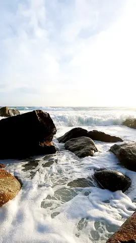 #خالد_الشبول 