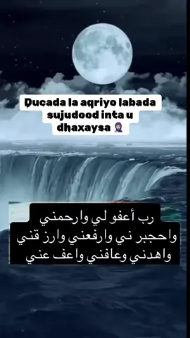 ##fyp #foryou #somalilandtiktok #somalitiktok #kusali_rusul_kena_muxamed_scw @Brotherabubakar @xasan mataan 