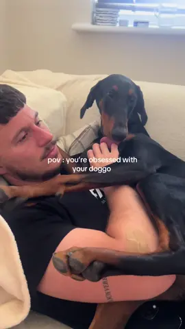🥺 dogs are the best thing in the whole entire world xxxxxxxx
