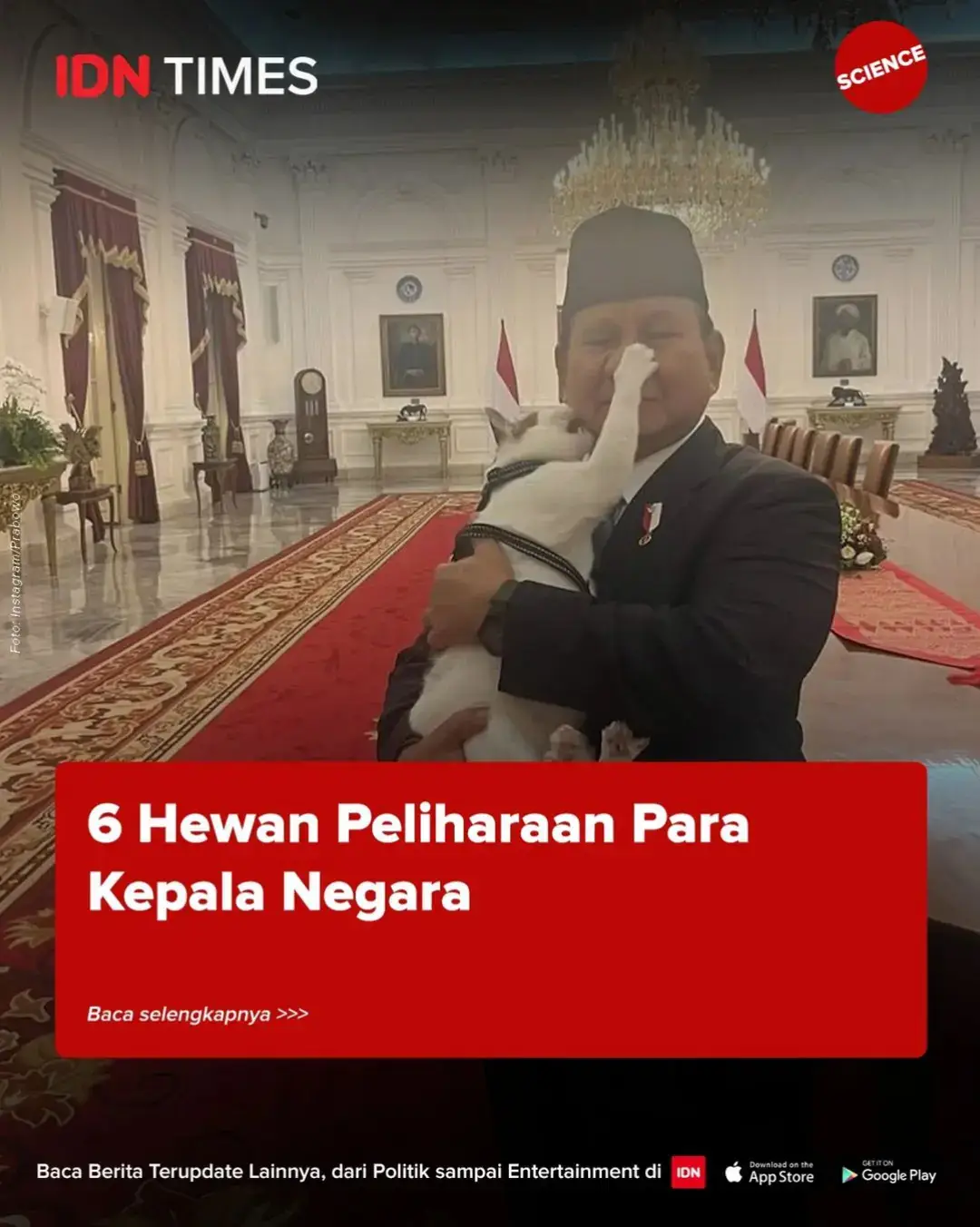 Presiden ke-8, Prabowo Subianto yang baru saja dilantik, turut membawa serta kucing kesayangannya ke Istana Negara, Bobby Kertanegara. Hal ini diketahui dari unggahan di akun Instagram @bobbykertanegara. Rupanya, tidak hanya Presiden Prabowo yang punya hewan peliharaan kesayangan. Ada beberapa pemimpin dunia yang juga memilikinya. Mau tahu? Baca artikelnya sampai habis, ya. #idntimes #idntimesnews #tiktiknews #tiktokberita #prabowo 