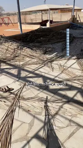 عريشة سعف انخيل 