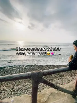 Mi cielo no sabes como me duele el alma no tenerte conmigo😔💔 guardame un ladito donde te encuentres🥹🕊️ te extraño amor de mi vida💘💔… @Yorman @andreina1374 #💔🕊️ #😞 #teextraño 