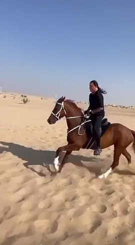 Necati Arabaci #köln #cologne #türkiye #türkei #horse #luxury #friend #dubai #tik_tok #tik #tok #herseyim 