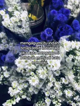 semoga saja, ya?