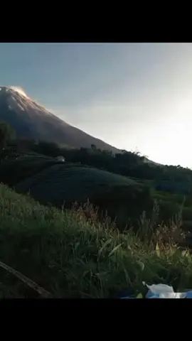 hiling dulu kita..🥶#gunung #pendakigunung #anakrantau #wongjowo #CapCut #vip #fipシ 