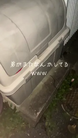 ゴミ箱開けてって言われたから開けたらwww #弟界隈#pennywise #cockroach #idiot