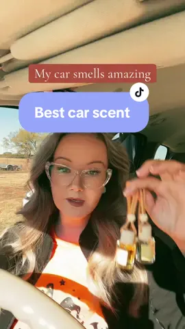 I love the fall scents! #carfreshner #carscents #tiktokblackfriday #tiktokshopblackfriday #tiktokshopcybermonday #tiktokshopholidaydeals #fallscents #pumpkin 